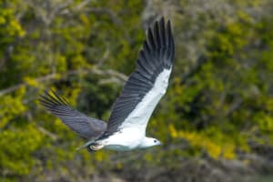 NATURE AND KARUMBA SAND ISLAND SUNSET CRUISES