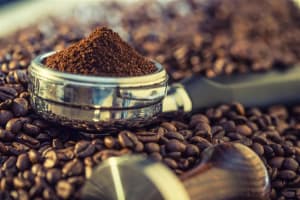 Highly Profitable Cafe - Long Secure Lease - Growing T/O