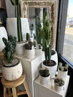 Much-Loved Florist and Giftware Business with 43 Years of Excellence