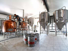 Huge Upside, Accommodation and Boutique Brewery - 2839MF