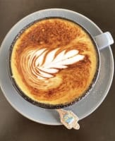 Popular CBD Cafe with Catering Contracts, Loyal Customer Base & Room to Grow