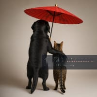 "SPECIALIST PET WELLNESS & NATURAL NUTRITION BUSINESS ESTABLISHED BRAND WITH EXCITING GROWTH POTE...