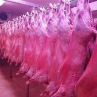 FAMOUS CAMPBELLFIELD BUTCHER FOR SALE