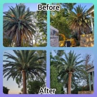 Mvh10t2r30vy5vw3kzib