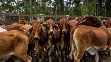 Agriculture, Recreation and Luxe Accommodation Development Opportunity