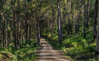 Agriculture, Recreation and Luxe Accommodation Development Opportunity