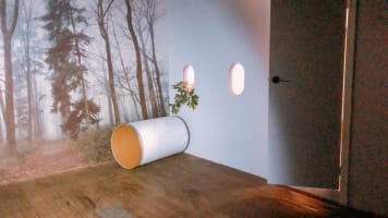 Myrwwqceshuq6esrjcwm