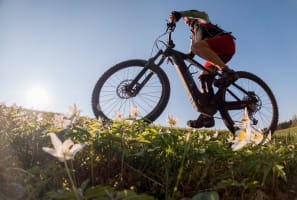 23201 Successful & Longstanding Electric Bicycle Retailer - Lucrative Market