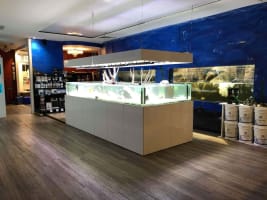 Looking for an aquarium business set up? Minimal risk & low set up cost.