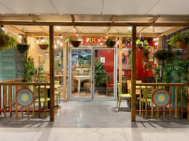 Thriving Vegetarian Restaurant with Beautiful Fit-out