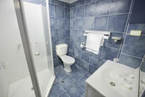 Highly Successful Educational and Stationery Supply