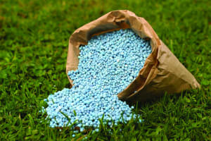 Highly Profitable Lawn Renovation & Sports Field Maintenance Business