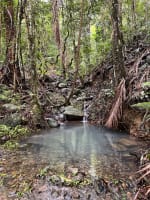 Daintree Rainforest Luxe Eco Lodge For Sale