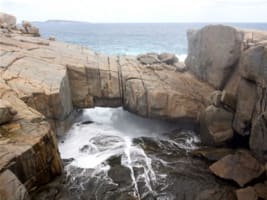 Harvest Tours - Accessible Tourism Business Margaret River