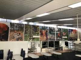 Signage and Print Business opportunity in the regional Cranbrook, W.A.