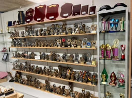 Nel6al31g5plolo86yqv