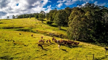 Agriculture, Recreation and Luxe Accommodation Development Opportunity