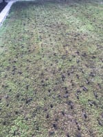 Highly Profitable Lawn Renovation & Sports Field Maintenance Business