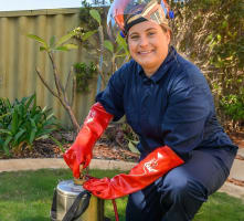 SURE Pest Control Franchises – Perth, WA
