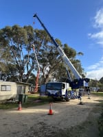 Two Long-Established Arborist Businesses with Strong Cashflow & Major Contracts