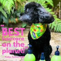 Njilazazpjlxyg72ccl4