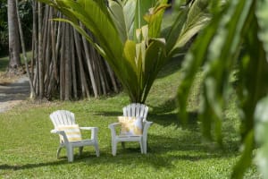 Daintree Rainforest Luxe Eco Lodge For Sale