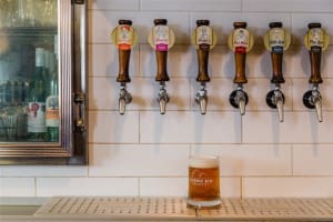 Scenic Rim Brewery & Cafe - Business and Lifestyle Property