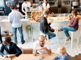 Established Cafe - Westfield Warringah Mall