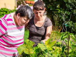 Highly Profitable NDIS Business. Hunter Region.