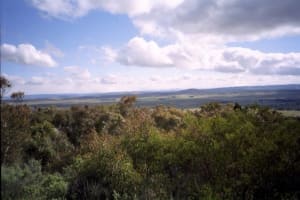 ICONIC LOG CABIN TEA HOUSE RESTAURANT WITH TOP VIEWS UNDER MT GLADSTONE LOOKOUT