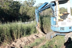 NATURES ENGINEERING WONDER PLANT