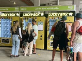 No6hmpznlpzcod8unk3m