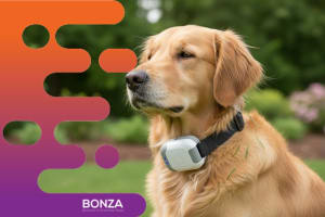 36789 Leading Pet Solutions Business with Proven Systems
