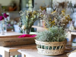 Iconic Home Decor & Gift Business, Online Growth Potential - EBS