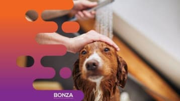 Ntoqwsfvwlxjj7r4ofti