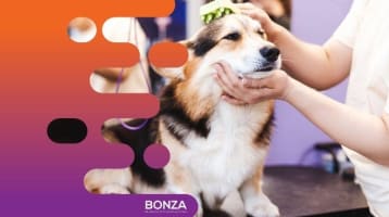 36130 Highly Reputable Pet Grooming Salon in Prime Location