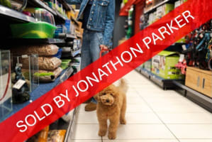 SOLD - ESTABLISHED PET AND STOCK SUPPLY RETAILER