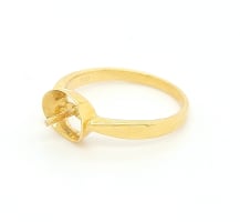 Discover a Hidden Gem