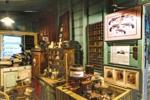 Tourist attraction in Charters Towers QLD