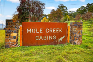 FHGC Tasmanian Accommodation Exceptional Presentation Spectacular Views 6 Cabins 2 Houses 2 Titles