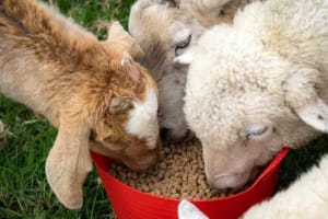 Nzbodx8xerdghipzj6uu