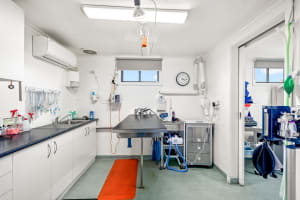 Longstanding Small Animal Veterinary Practice with Loyal Clientele & Modern Facilities