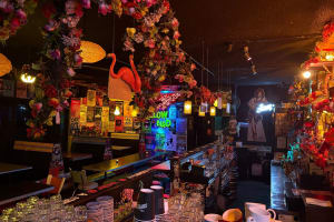 Yellow Bird - Situated prominently on the corner Chapel Street.