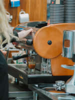 A perfect opportunity to make the tree change and make money from day one