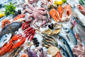RETAIL SEAFOOD OUTLET – STRONG HISTORY!