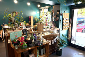 LEASEHOLD - Seed & Bloom Flower Store, Wangaratta - 1P0586