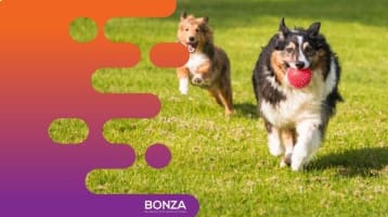 O9ii1pplxmoxqad5z2sf