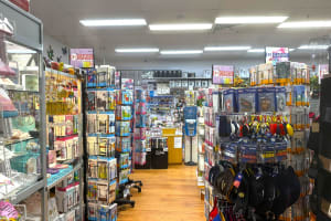 LEASEHOLD - Simple Indulgence Gift Shop, West Wodonga VIC - 1P0612