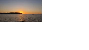 Noosa Houseboat Opportunity!