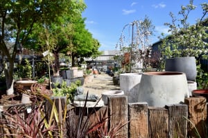 Established Garden Centre and Landscape Supplies with Significant Growth Potential